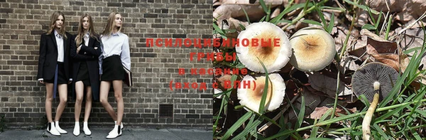 трава Алексин