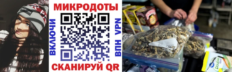 Галлюциногенные грибы ЛСД  Кологрив 