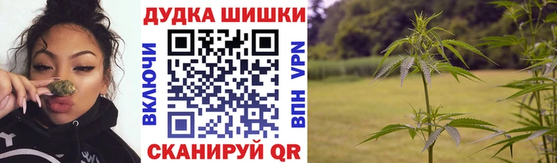 Каннабис SATIVA & INDICA  мега ссылка  Кологрив 